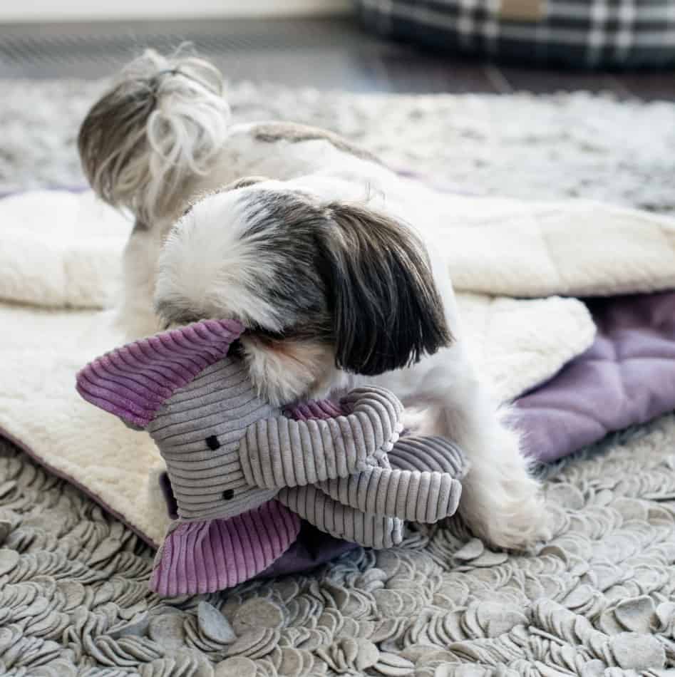 hondenspeelgoed dumbo grijs