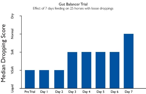 GUT BALANCER 1.5KG – HORSE GUT BALANCER CHART