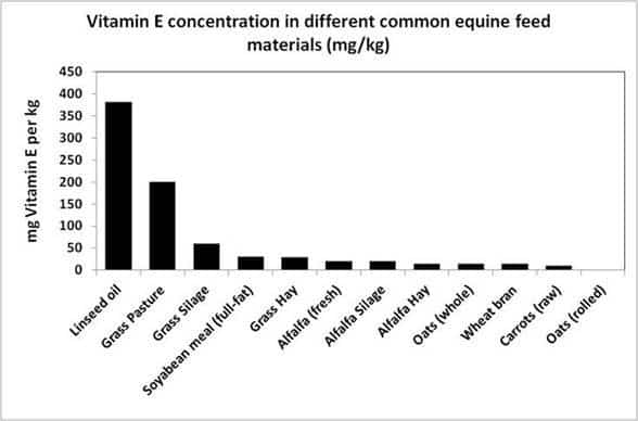 Vitamine E concentration in different common equine feed materials